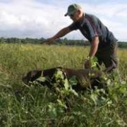 Caccia in Deroga in Sardegna: arriva il No dell'Assessore all'Ambiente.. Caccia in Sardegna: Apertura in Deroga a Febbraio, Nessuna Novità..